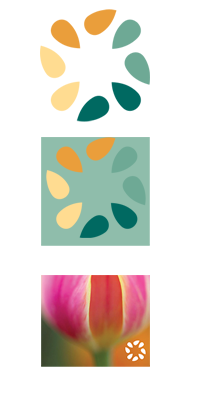 IFPA Seed on approved backgrounds IFPA Seed on approved backgrounds
