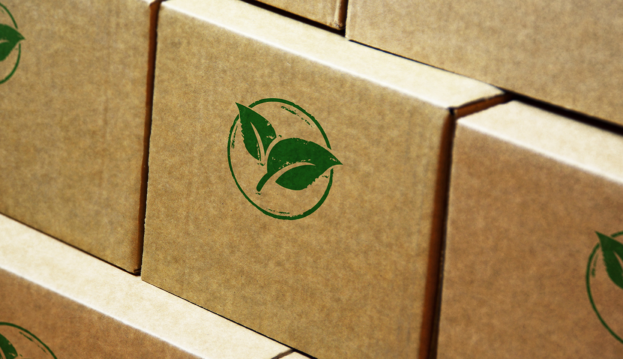 cardboard box with green sustainability leaves
