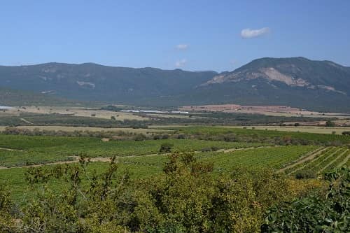 multiple fields of crops in foreground with mountains in the background